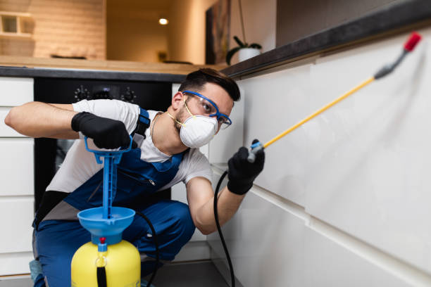 Best Residential Pest Control  in Mission, KS