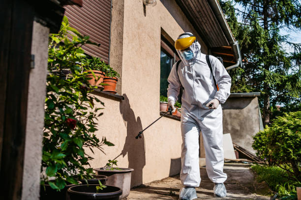 Best Best Pest Control Companies  in Mission, KS