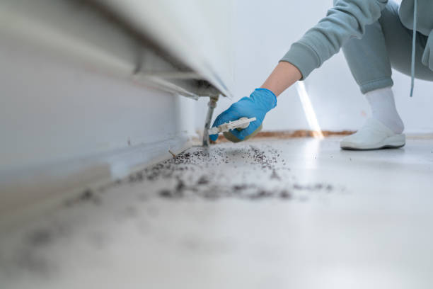 Best Pest Control Near Me in Mission, KS