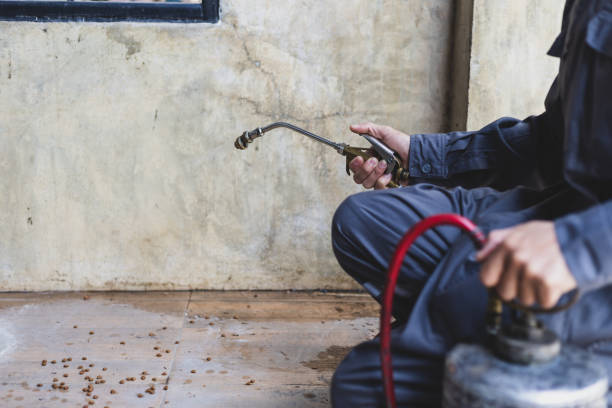 Best Pest Removal Services  in Mission, KS